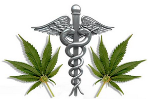 Medical marijuana research backs therapeutic claims