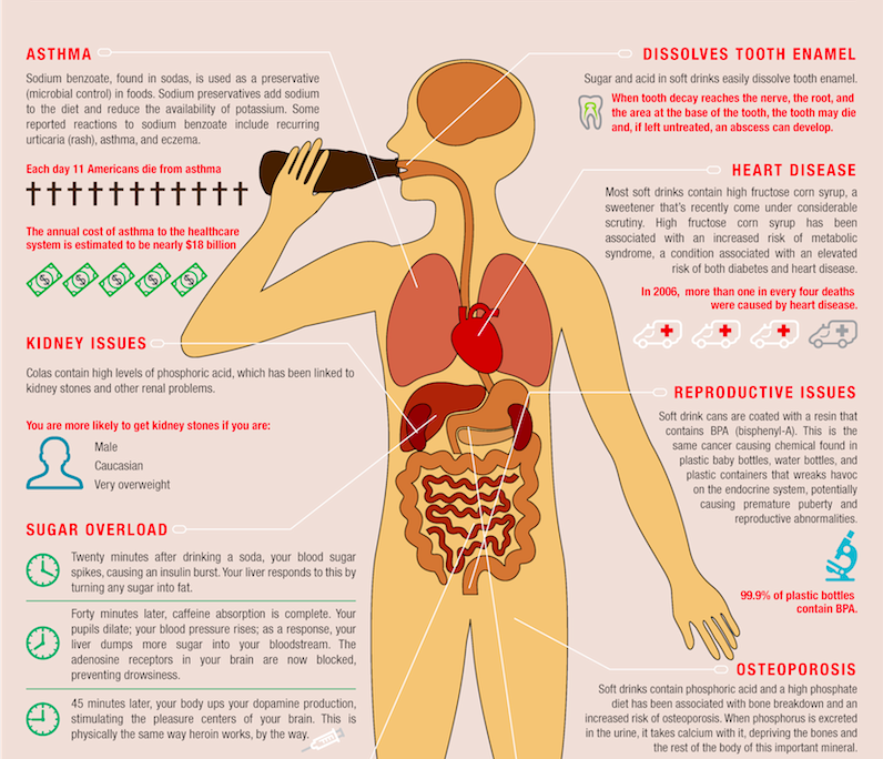 How Soda Impacts Your Health Integr8 Health