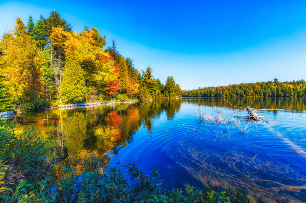 integr8background Integr8 Health